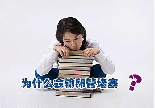 输卵管堵塞会排卵吗